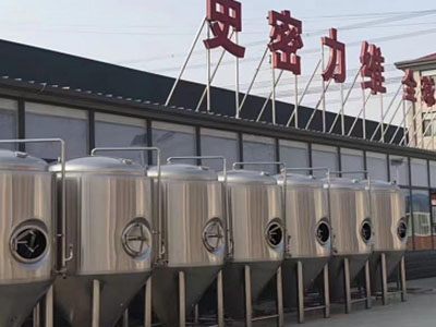 硚口精酿啤酒设备厂—如何判断精酿啤酒设备的密封件需要更换？